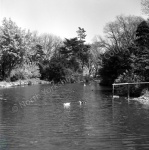 Burton Agnes, Pond